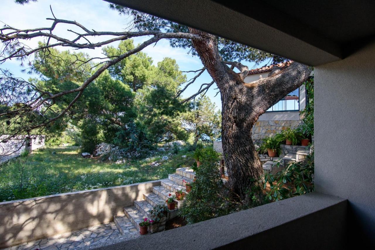Accomodation Stermasi Maranovici Luaran gambar